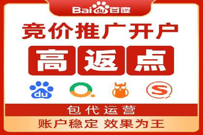 案例分析：SEM优化助力电商销量增长